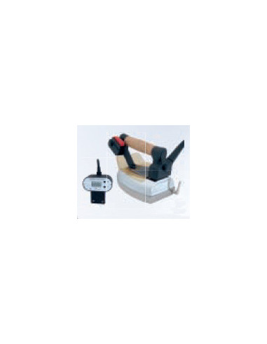 Electronic Sara industrial iron